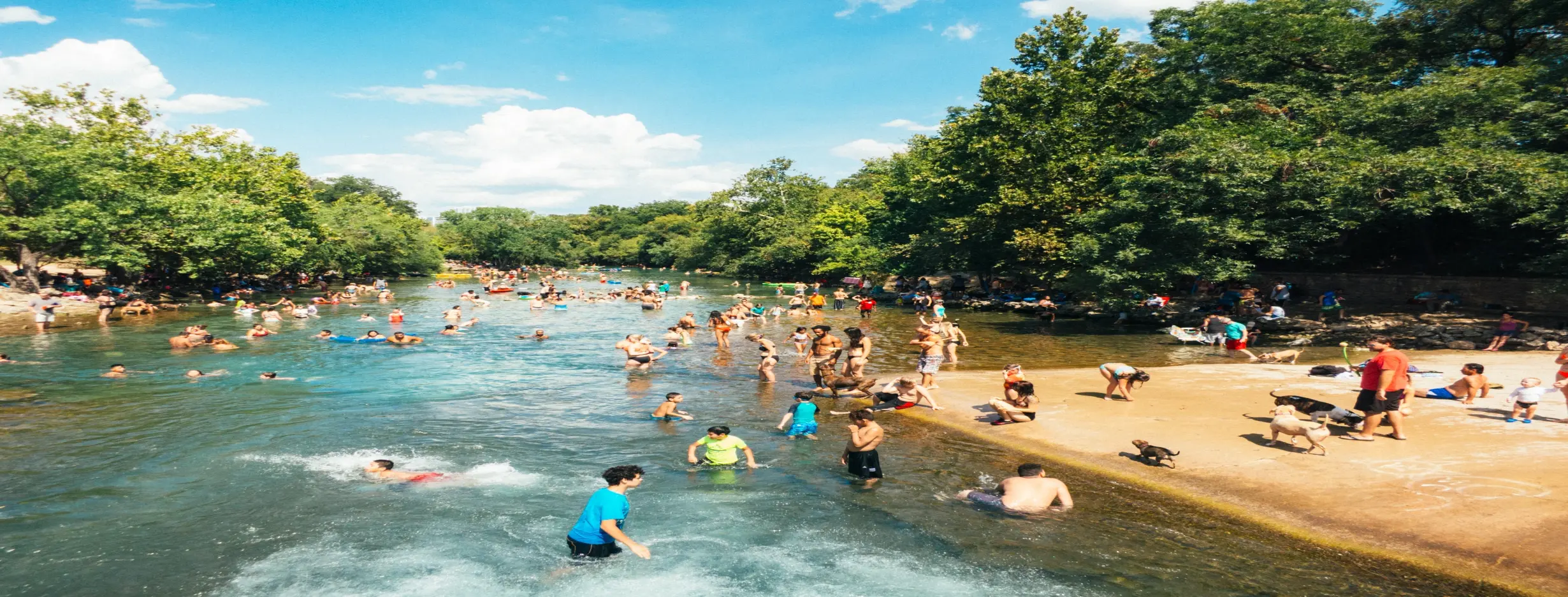 Image for Barton Springs